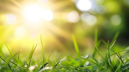 Poster - Close-up view of vibrant green grass blades illuminated by bright sunlight, creating a bokeh effect in the background, suggesting a sunny meadow or park. : Generative AI