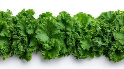 Aufkleber - Close-up shot of lush, vibrant green kale leaves showcasing their crisp texture, ideal for use in culinary designs or health-centric promotions