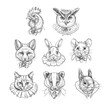 © Дарья Березина - Portraits of animals in human costumes. Vector graphics.