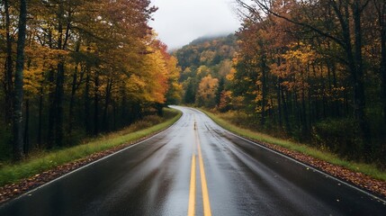 Poster - Scenic autumn road curving through a lush forest, wet asphalt reflecting the overcast sky, fallen leaves lining the edges, a tranquil and moody atmosphere. : Generative AI