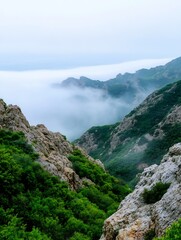 Aufkleber - Misty mountain valley landscape, showcasing rugged rock formations and lush green vegetation, with a layer of fog or clouds in the distance, creating a serene and atmospheric scene. : Generative AI