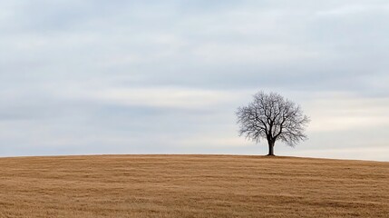 Poster - Solitary bare tree stands on a gently sloping, golden brown field under a pale, overcast sky, evoking a sense of peace and quietude. : Generative AI