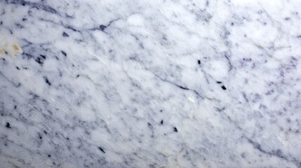 Poster - Close-up view reveals smooth white marble with delicate black veins, ideal for contemporary design and creating stylish backgrounds with ample copy space