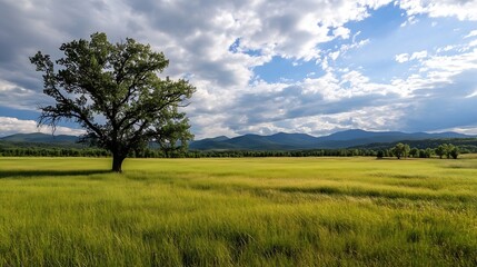 Aufkleber - Solitary tree stands in a vast, green field under a partly cloudy sky, with distant mountains providing a scenic backdrop. : Generative AI