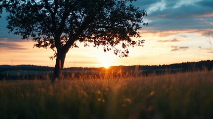 Poster - Silhouette of a tree in a field at sunset, golden hour light illuminating tall grass, peaceful countryside landscape. : Generative AI