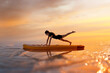 © Lustre Art Group  - Collage. Focused woman holds plank with leg extended behind on sup board above water, demonstrating strength, control and balance against sunset light. Concept of fitness, motion, yoga training.