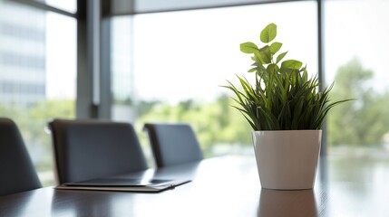 Poster - Modern office meeting room with a potted plant on a table, near chairs and a large window with a blurred city view. : Generative AI