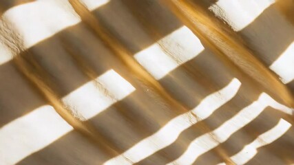 Poster - Intricate play of light and shadow on a textured wall creating a captivating visual experience