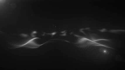 Poster - abstract black and white glowing dots forming a soft, flowing terrain-like digital wave pattern