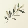 © Art - Delicate branch with various shades of green leaves on a cream background