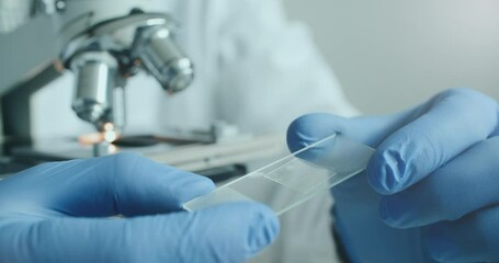 Wall Mural - close-up of biologist gloved hands using microscope in sterile laboratory. vibrant blue gloves highl