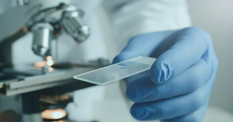 Wall Mural - close-up of biologist gloved hands using microscope in sterile laboratory. vibrant blue gloves highl