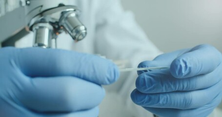 Wall Mural - close-up of biologist gloved hands using microscope in sterile laboratory. vibrant blue gloves highl