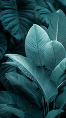 Poster - Close-up of teal-colored leaves, showcasing intricate vein patterns.  Symbolizes nature, serenity, and tropical ambiance, ideal for design backgrounds
