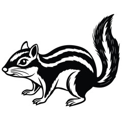  Adobe Illustrator ArtworEastern Chipmunk illustration white backgroundk