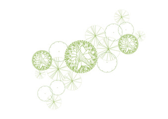 Wall Mural - architecture drawing plant tree top view plan greenery vegetation vector. design nature architectura