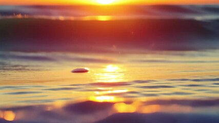 Poster - Capturing the vibrant sunset over the ocean with a smartphone closeup, Capturing Sunset on Smartphone close-up