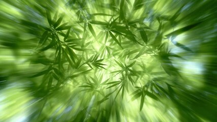 Poster - Bamboo leaves create a stunning blur effect in bright sunlight filtering through the canopy, blur of bamboo leaves