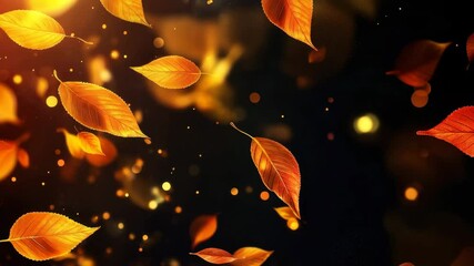 Poster - Vibrant autumn orange leaves shimmering against a deep black background, Autumn orange leaves on black background with shiny golden lights