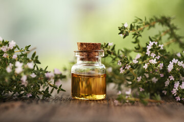 Wall Mural - A bottle of thyme essential oil outdoors