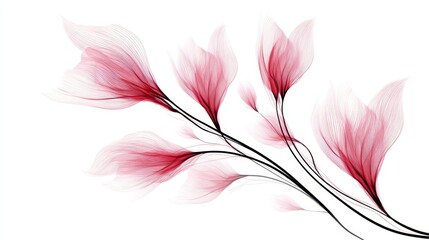 Poster - Soft Pink Floral Sketch: Delicate Abstract Art - Elegant, ethereal pink flowers, symbolizing grace, serenity, beauty, femininity, and tranquility