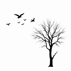 silhouette of bare tree with flying birds isolated on white background