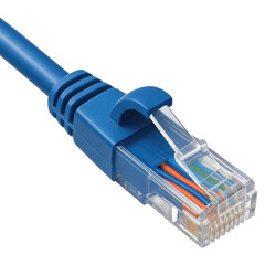 Poster - Close up of Blue RJ45 Ethernet Cable Connector with Visible Wires image of network cable