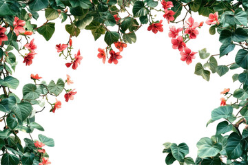 Poster - Flowering vines with vibrant blooms framing a clear space for design use or artistic backgrounds