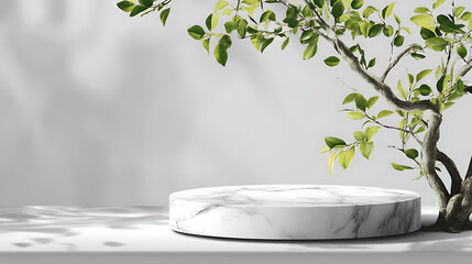Poster - White marble podium stand mock up template display showcase for product presentation with freshness nature branch tree leave with shadow
