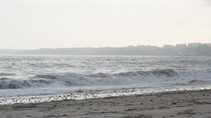 Wall Mural - white foamy ocean waves gently crash on the sandy shore of a portuguese beach, with a distant citysc