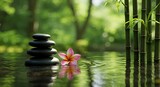 Tranquil Zen Garden Smooth Black Stones Reflective Pond Frangipani Blossom and Lush Bamboo Stalks