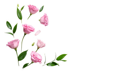 Wall Mural - beautiful pink roses arranged with green leaves create charming floral composition, perfect for expr