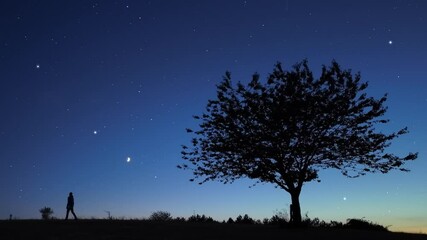 Wall Mural - silhouette of a man and countryside under the stars and moonlight.