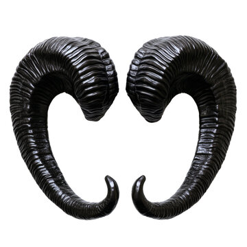 Striking pair of symmetrical animal horns on a transparent setting, sculptural form, dramatic contrast and evocative imagery