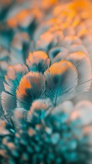 Aufkleber - Soft, fluffy turquoise and orange feathers create a beautiful textured background, with a shallow depth of field highlighting the delicate details and color gradient