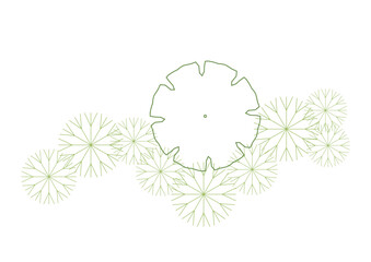 Wall Mural - architecture drawing plant tree top view plan greenery vegetation vector. design nature architectura