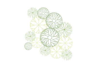 Wall Mural - architecture drawing plant tree top view plan greenery vegetation vector. design nature architectura