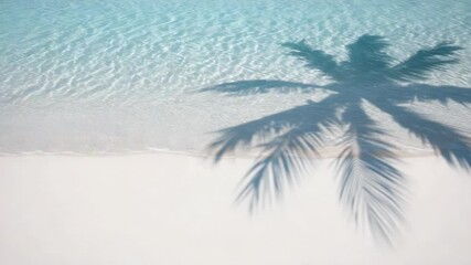 Poster - Crystal clear turquoise water gently washing a pristine white sandy beach, with the shadow of a palm tree creating a relaxing tropical scene