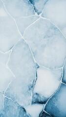Poster - Ice covering a frozen lake surface is cracking, creating a beautiful geometric pattern of interconnected lines and shapes, showcasing the power of nature and the changing seasons