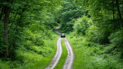 Poster - Green sports utility vehicle driving down a winding dirt road through a dense, vibrant green forest, showcasing the beauty of nature and the spirit of adventure