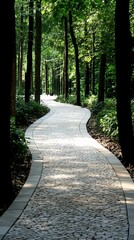 Poster - A peaceful path winding through the dense woods surrounded by lush greenery and natural beauty