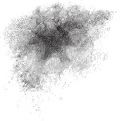 Wall Mural - A textured grayscale cloud formation dominates the 's