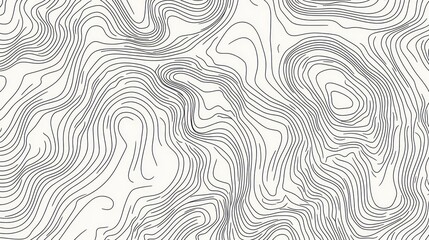 Poster - abstract grayscale topographic map-like lines pattern.
