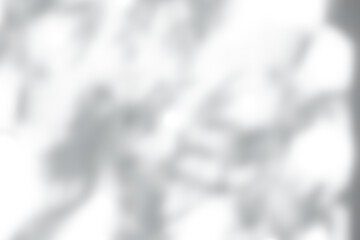 Leinwandbilder - Leaves shadow overlay, isolated Branches leaves,Blurry abstract light effect overlay on white background for product mock up design