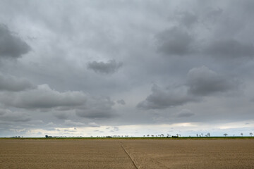 extremely flat agricultural fields in northern groningen, netherland, under a dramatic clouded sky
