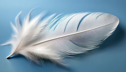 Aufkleber - delicate white feather on blue background for minimalist web design, spring branding, print materials, nature graphics, or soft style digital artwork

