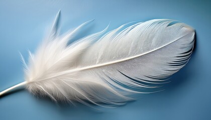 Aufkleber - delicate white feather on blue background for minimalist web design, spring branding, print materials, nature graphics, or soft style digital artwork

