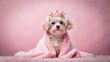 © Danicha - Cute Dog in Pink Blanket and Crown: Royal Puppy Tilt-Shift Photo