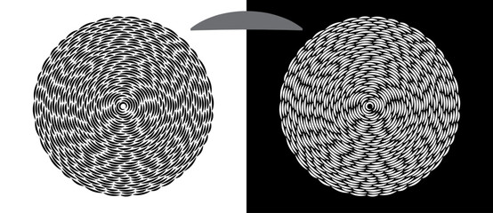 Fototapete - Modern abstract background. Waves in circle form. Spiral logo or icon, design element. Black shape on a white background and the same white shape on the black side.