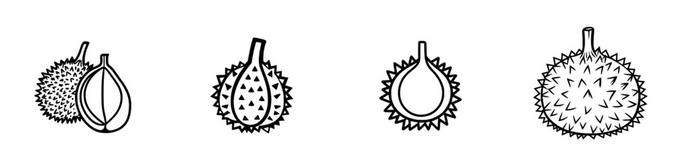 Poster - Vector illustration icons showcasing different stages and varieties of durian fruit in simple line art
